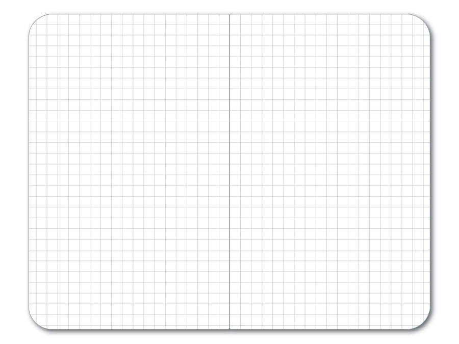 ASA Notizblock Flight Notes kariert